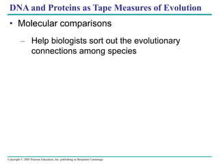 Copyright © 2005 Pearson Education, Inc. publishing as Benjamin Cummings
DNA and Proteins as Tape Measures of Evolution
• Molecular comparisons
– Help biologists sort out the evolutionary
connections among species
 