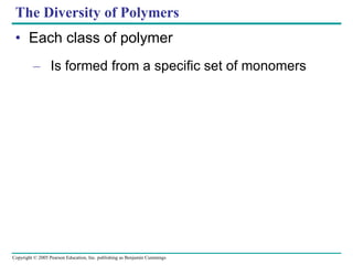 Copyright © 2005 Pearson Education, Inc. publishing as Benjamin Cummings
The Diversity of Polymers
• Each class of polymer
– Is formed from a specific set of monomers
1 2 3 HO
H
 