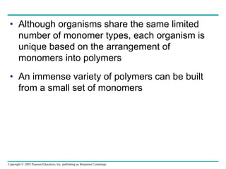 Copyright © 2005 Pearson Education, Inc. publishing as Benjamin Cummings
• Although organisms share the same limited
number of monomer types, each organism is
unique based on the arrangement of
monomers into polymers
• An immense variety of polymers can be built
from a small set of monomers
 