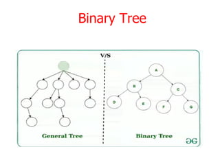 Binary Tree
 