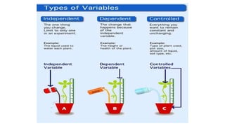 Chapter 5 variables and their types | PPTX
