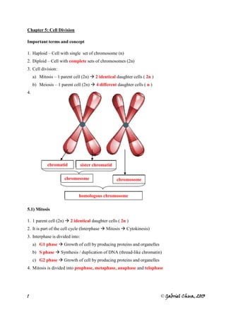 1 © Gabriel Chua, 2013
Chapter 5: Cell Division
Important terms and concept
1. Haploid – Cell with single set of chromosome (n)
2. Diploid – Cell with complete sets of chromosomes (2n)
3. Cell division:
a) Mitosis – 1 parent cell (2n)  2 identical daughter cells ( 2n )
b) Meiosis – 1 parent cell (2n)  4 different daughter cells ( n )
4.
5.1) Mitosis
1. 1 parent cell (2n)  2 identical daughter cells ( 2n )
2. It is part of the cell cycle (Interphase  Mitosis  Cytokinesis)
3. Interphase is divided into:
a) G1 phase  Growth of cell by producing proteins and organelles
b) S phase  Synthesis / duplication of DNA (thread-like chromatin)
c) G2 phase  Growth of cell by producing proteins and organelles
4. Mitosis is divided into prophase, metaphase, anaphase and telophase
chromatid sister chromatid
chromosome chromosome
homologous chromosome
 