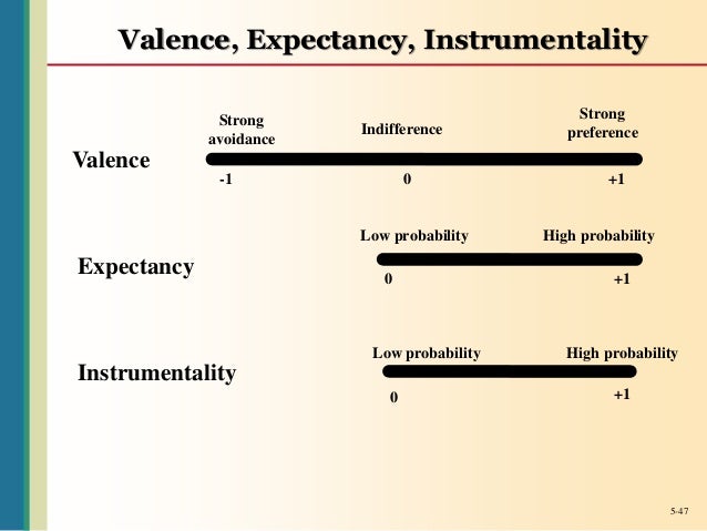 Chapter 5 work motivation