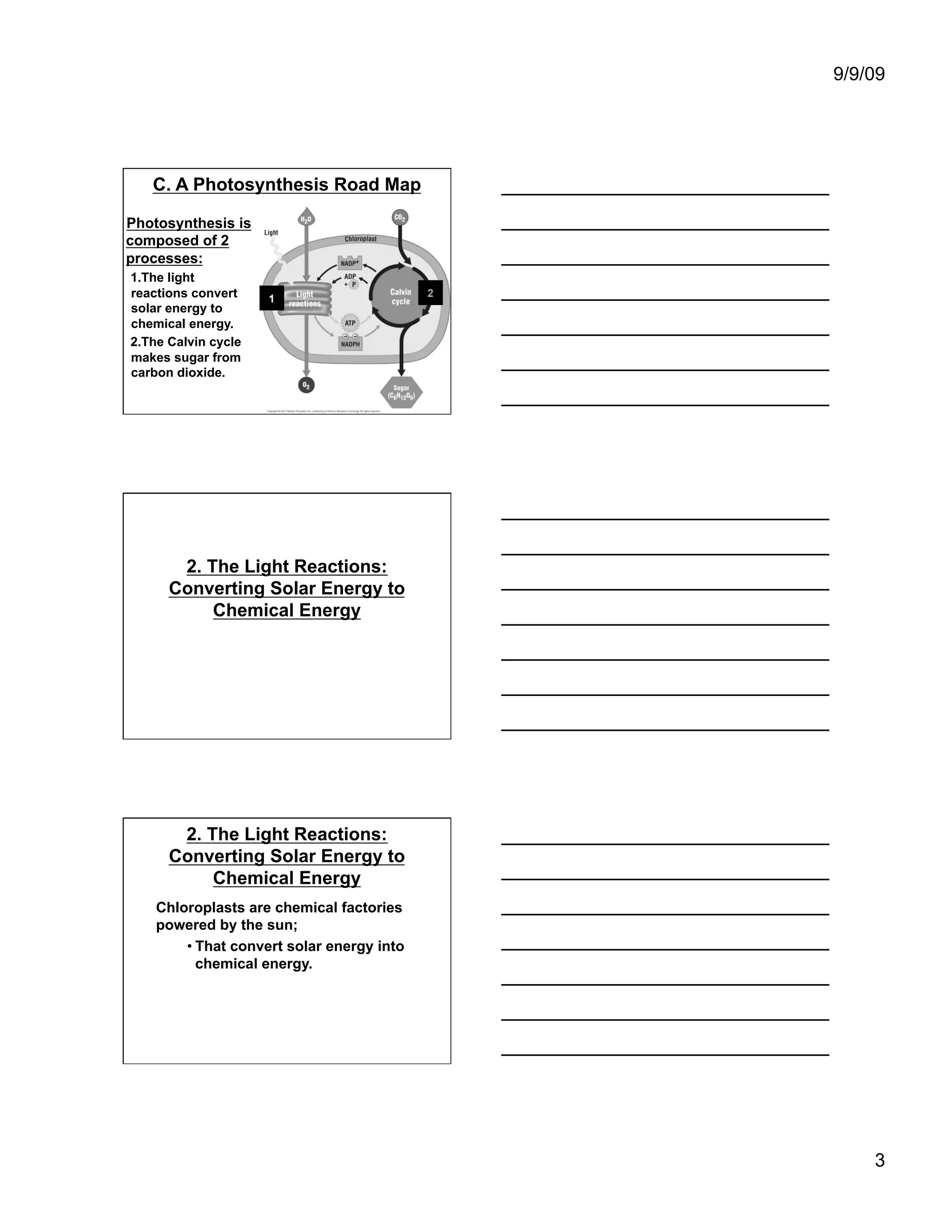 9/9/09




   C. A Photosynthesis Road Map

Photosynthesis is
composed of 2
processes:
1. The light
reactions convert     1                    2
solar energy to
chemical energy.
2. The Calvin cycle
makes sugar from
carbon dioxide.




       2. The Light Reactions:
      Converting Solar Energy to
           Chemical Energy




       2. The Light Reactions:
      Converting Solar Energy to
           Chemical Energy
    Chloroplasts are chemical factories
    powered by the sun;
        • That convert solar energy into
          chemical energy.




                                                   3
 