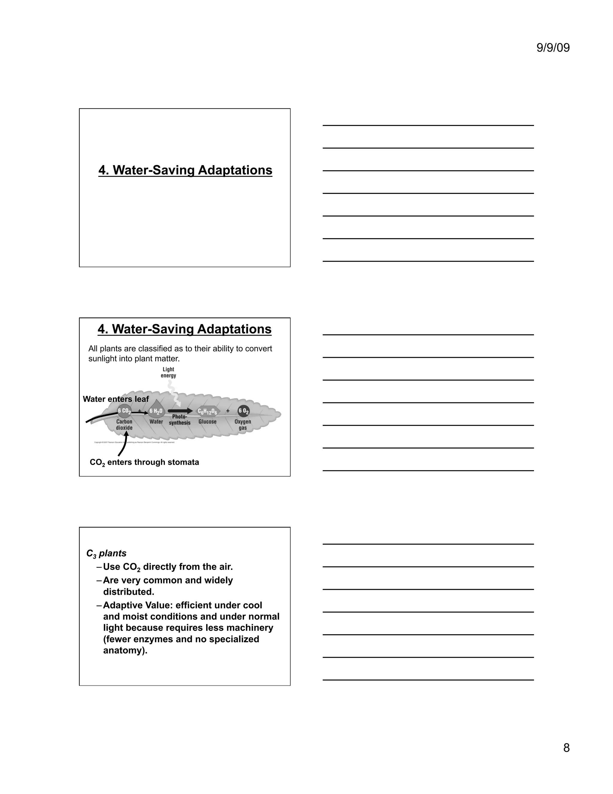 9/9/09




    4. Water-Saving Adaptations




   4. Water-Saving Adaptations
 All plants are classified as to their ability to convert
 sunlight into plant matter.



Water enters leaf




 CO2 enters through stomata




C3 plants
  – Use CO2 directly from the air.
  – Are very common and widely
    distributed.
  – Adaptive Value: efficient under cool
    and moist conditions and under normal
    light because requires less machinery
    (fewer enzymes and no specialized
    anatomy).




                                                                8
 