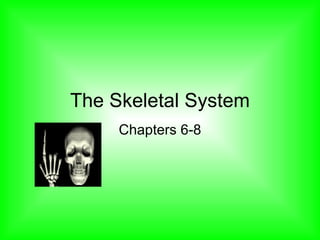 The Skeletal System Chapters 6-8 