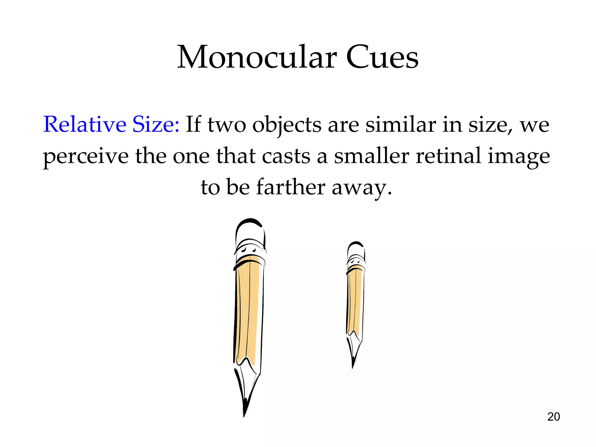 Monocular Cues Relative Size:   If two objects are similar in size, we perceive the one that casts a smaller retinal image to be farther away. 