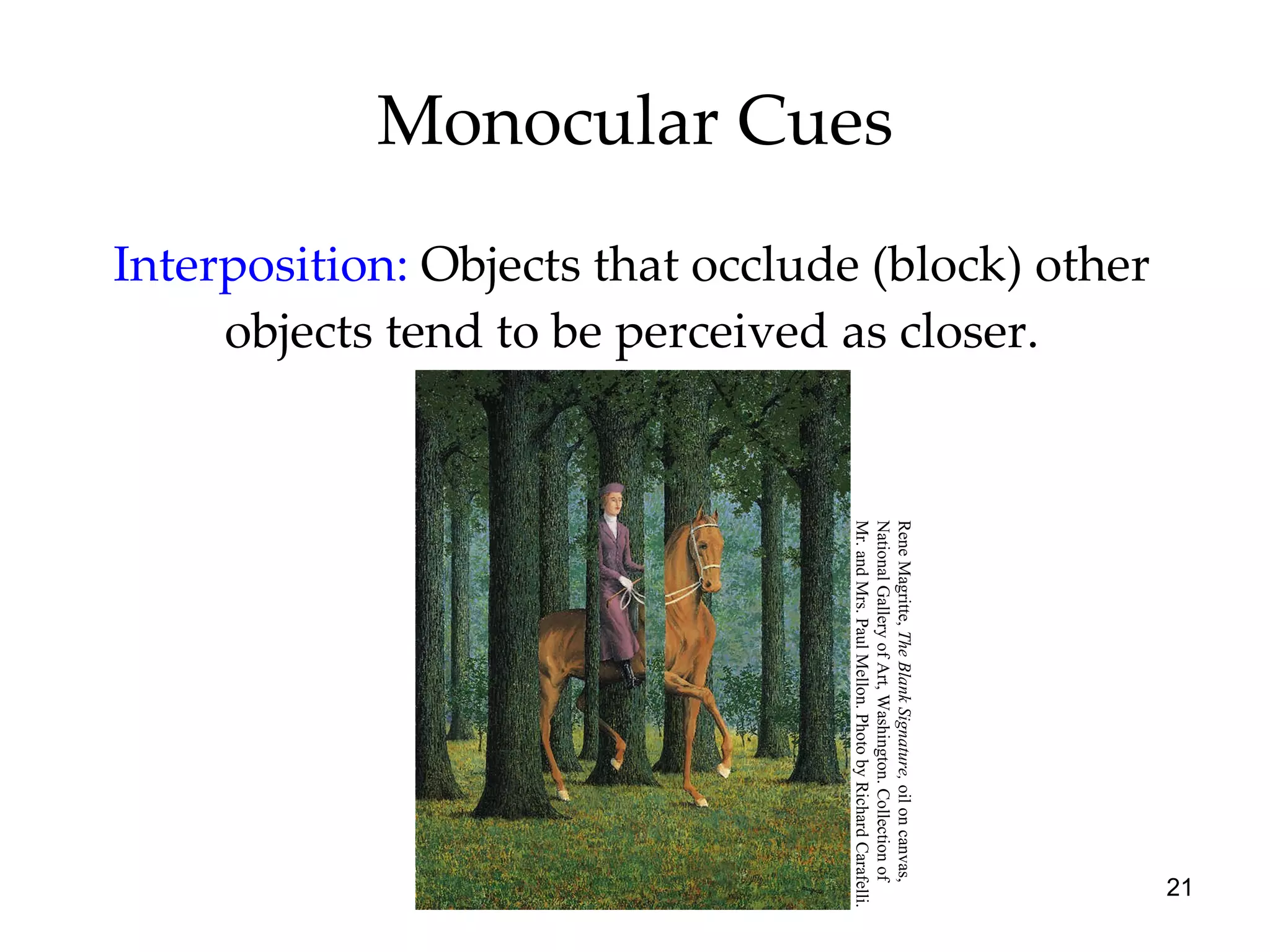 Monocular Cues Interposition:   Objects that occlude (block) other objects tend to be perceived as closer. Rene Magritte,  The Blank Signature,  oil on canvas,  National Gallery of Art, Washington. Collection of  Mr. and Mrs. Paul Mellon. Photo by Richard Carafelli. 