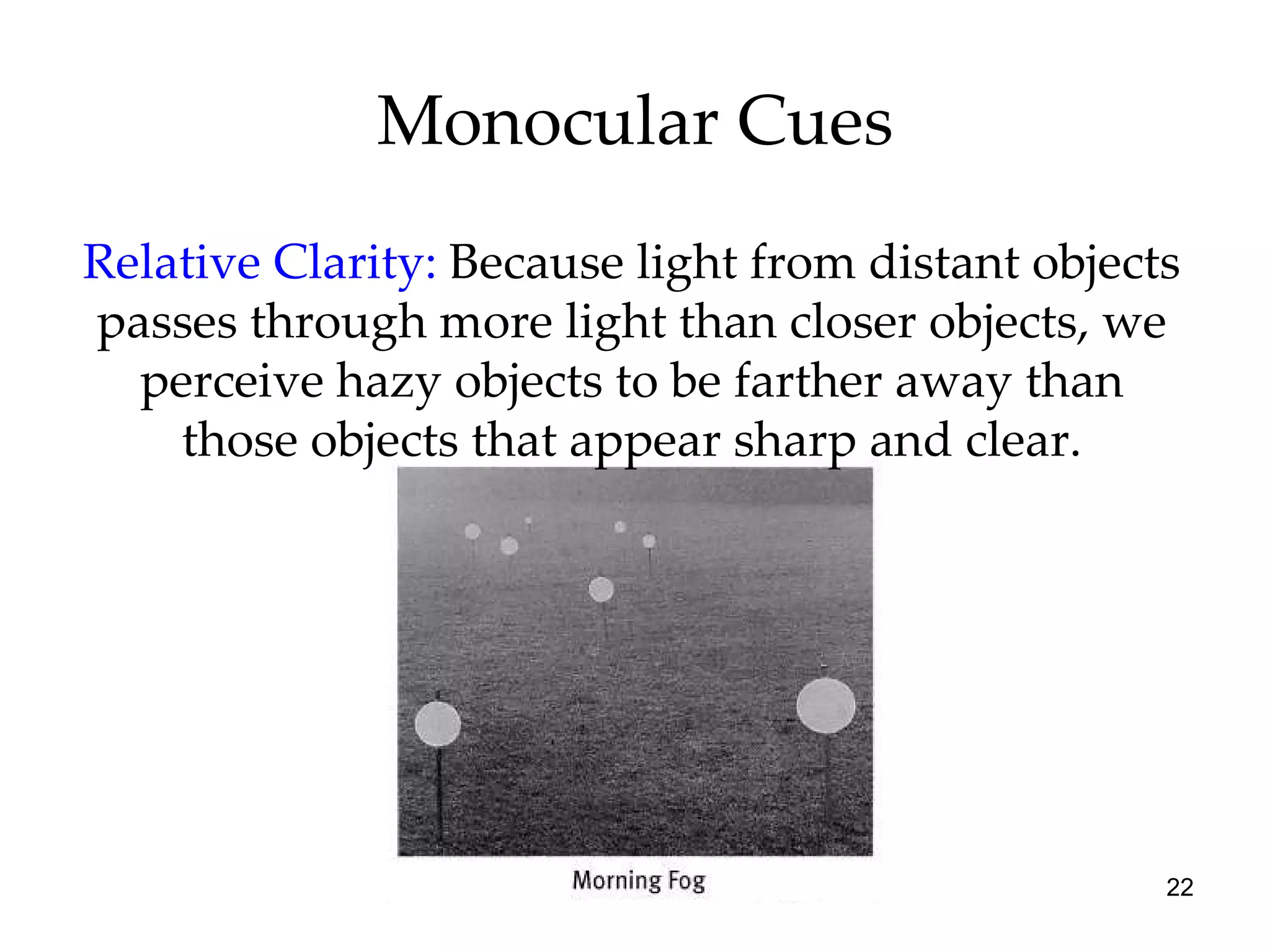 Monocular Cues Relative Clarity:   Because light from distant objects passes through more light than closer objects, we perceive hazy objects to be farther away than those objects that appear sharp and clear. 
