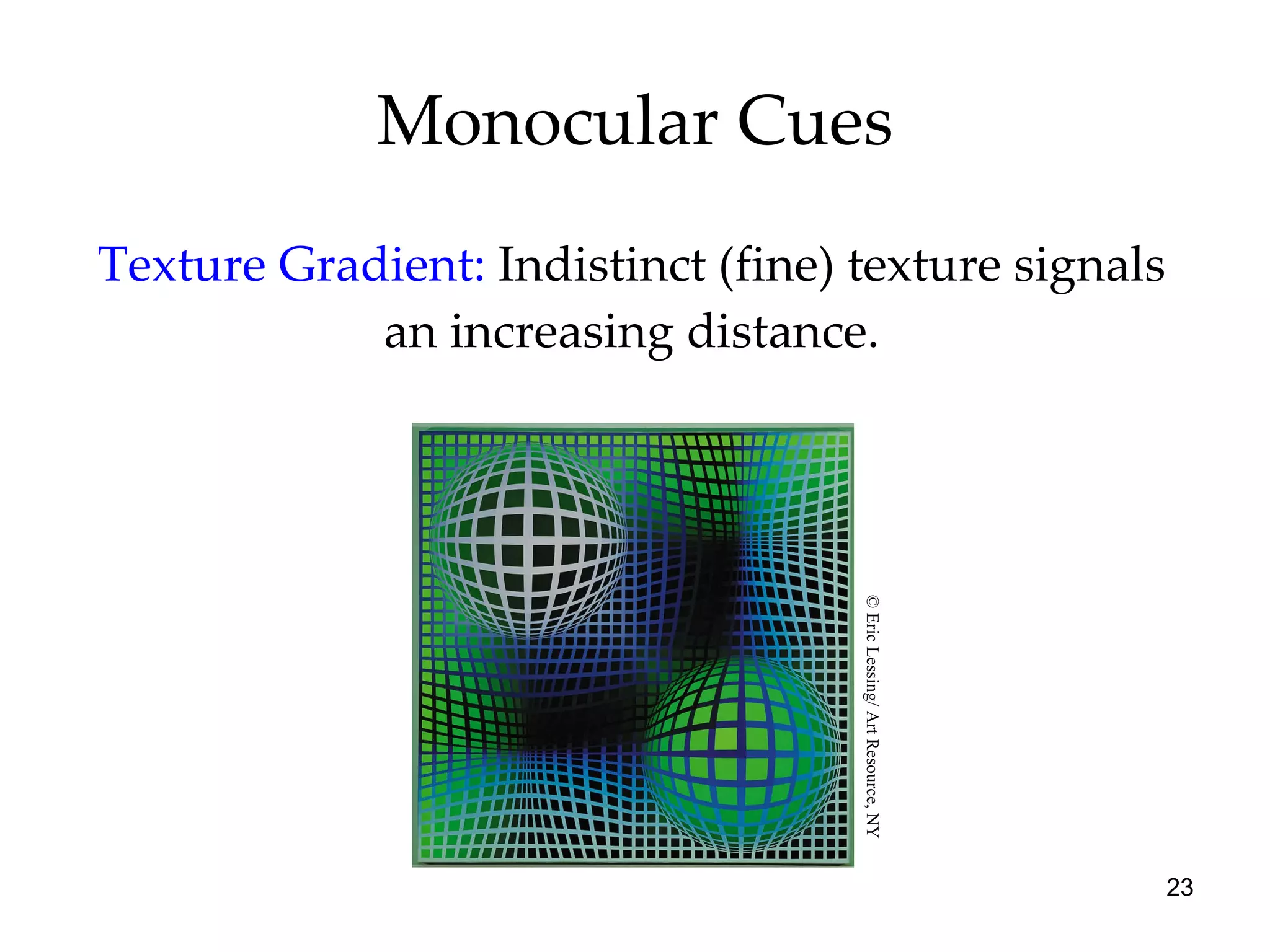 Monocular Cues Texture Gradient:   Indistinct (fine) texture signals an increasing distance. © Eric Lessing/ Art Resource, NY 