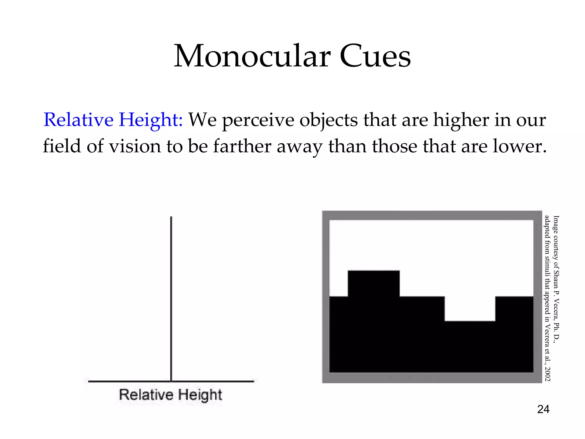 Monocular Cues Relative Height:   We perceive objects that are higher in our field of vision to be farther away than those that are lower. Image courtesy of Shaun P. Vecera, Ph. D.,  adapted from stimuli that appered in Vecrera et al., 2002 