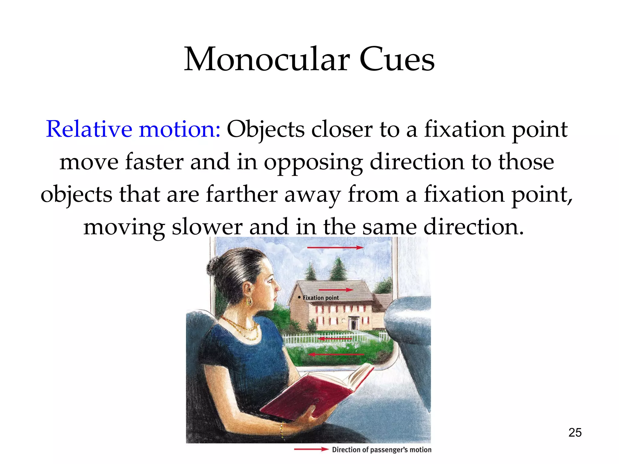 Monocular Cues Relative motion:   Objects closer to a fixation point move faster and in opposing direction to those objects that are farther away from a fixation point, moving slower and in the same direction.  
