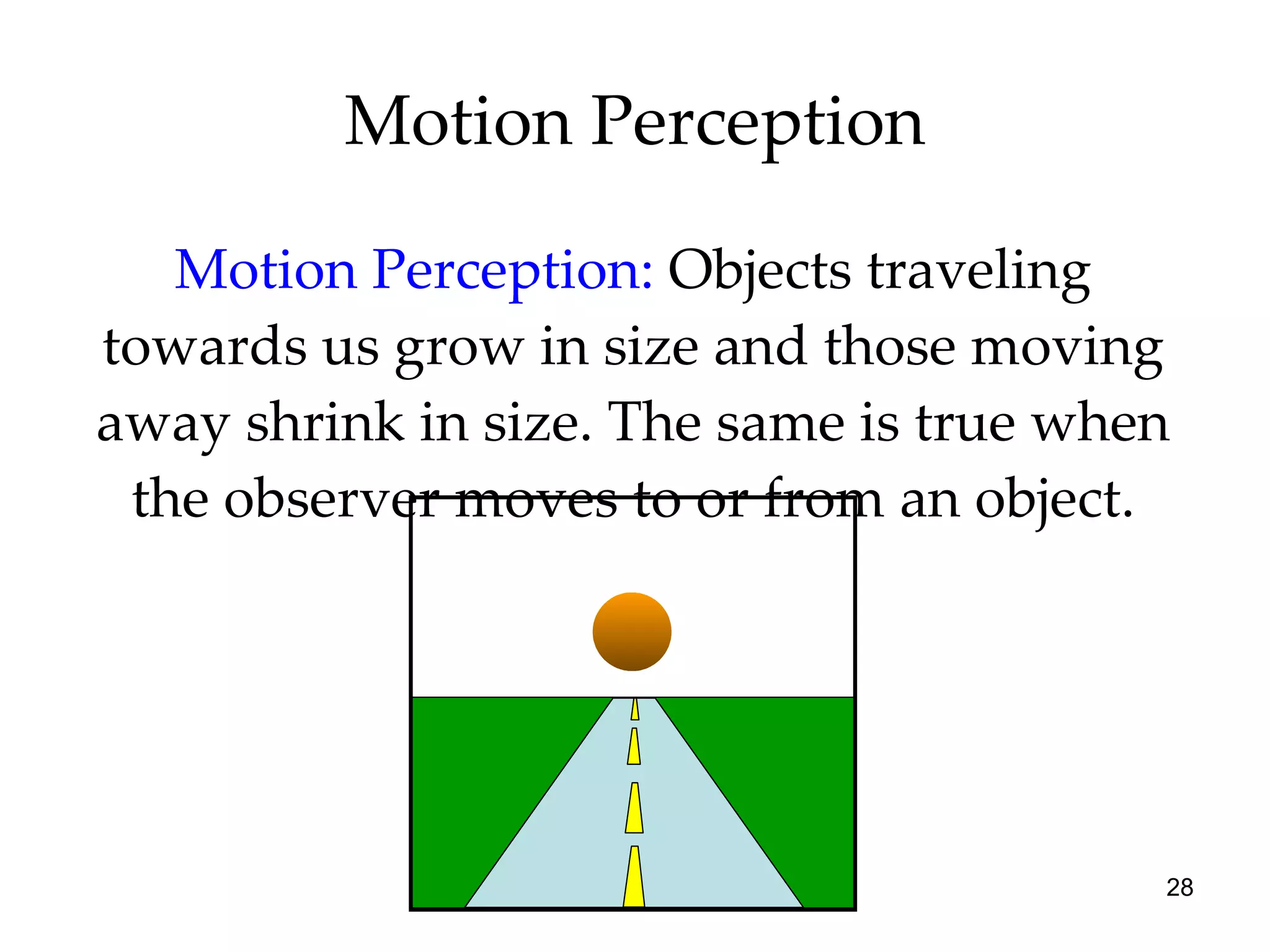 Motion Perception Motion Perception:   Objects traveling towards us grow in size and those moving away shrink in size. The same is true when the observer moves to or from an object. 
