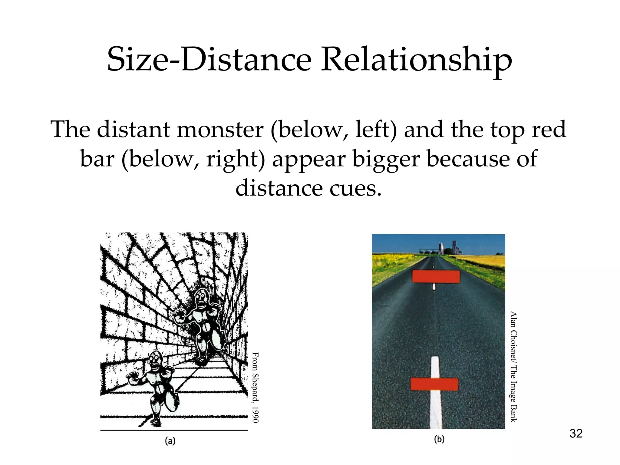 Size-Distance Relationship The distant monster (below, left) and the top red bar (below, right) appear bigger because of distance cues. From Shepard, 1990 Alan Choisnet/ The Image Bank 