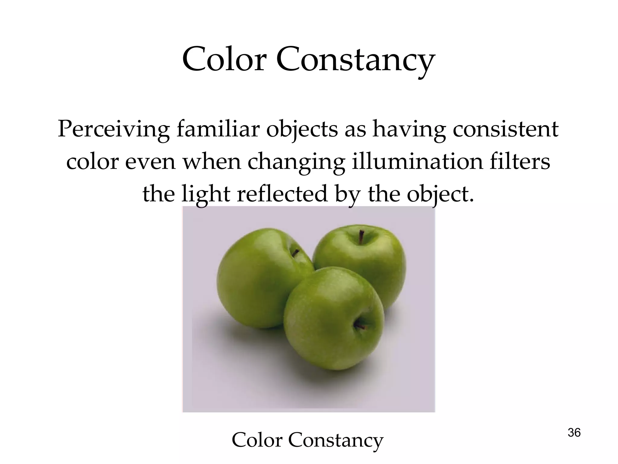 Perceiving familiar objects as having consistent color even when changing illumination filters the light reflected by the object. Color Constancy Color Constancy 