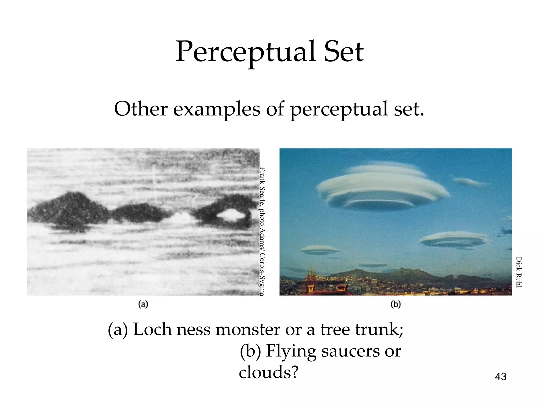 Perceptual Set (a) Loch ness monster or a tree trunk;  (b) Flying saucers or clouds? Other examples of perceptual set. Frank Searle, photo Adams/ Corbis-Sygma Dick Ruhl 