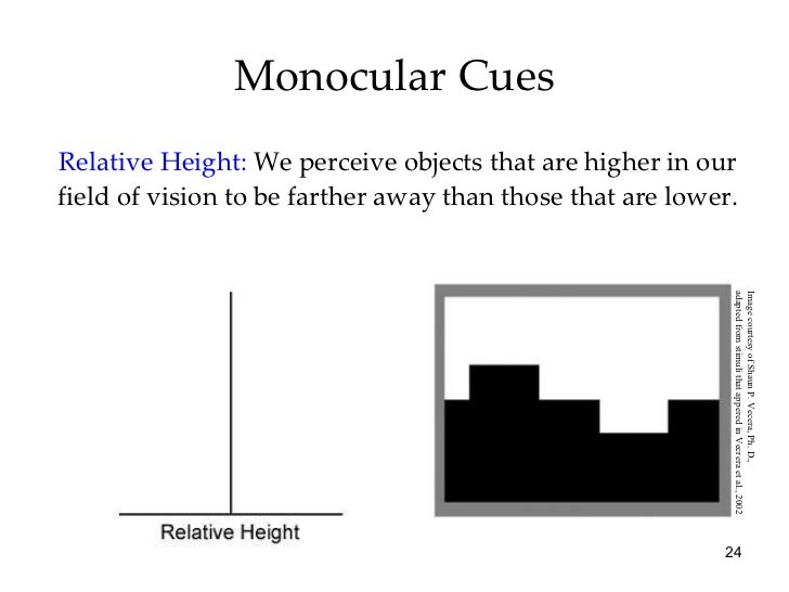 Monocular cues definition picture