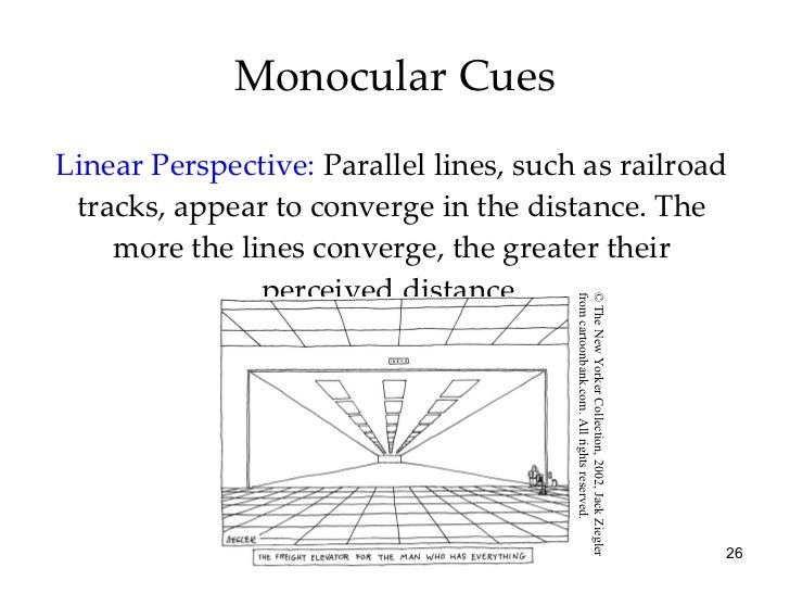 Monocular cues define image