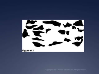 Copyright © 2011 Pearson Education, Inc. All rights reserved.