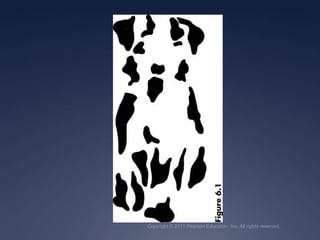 Copyright © 2011 Pearson Education, Inc. All rights reserved.