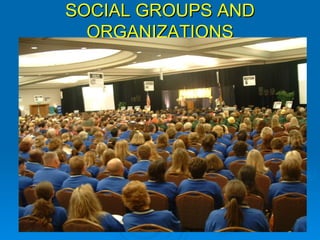 SOCIAL GROUPS AND ORGANIZATIONS 