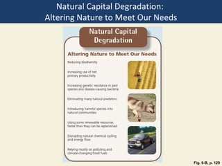 Natural Capital Degradation:
Altering Nature to Meet Our Needs




                                    Fig. 6-B, p. 129
 