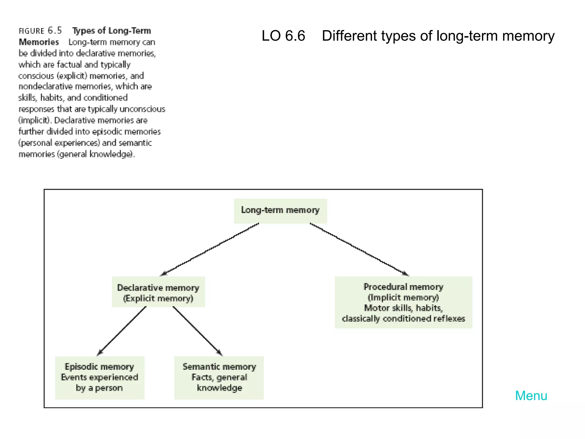 Menu LO 6.6  Different types of long-term memory 