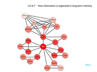 Menu LO 6.7  How information is organized in long-term memory 