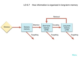 Menu LO 6.7  How information is organized in long-term memory 