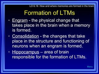 Formation of LTMs Engram  - the physical change that takes place in the brain when a memory is formed. Consolidation  - the changes that take place in the structure and functioning of neurons when an engram is formed. Hippocampus  – area of brain responsible for the formation of LTMs. LO 6.16  How and where memories are formed in the brain Menu 