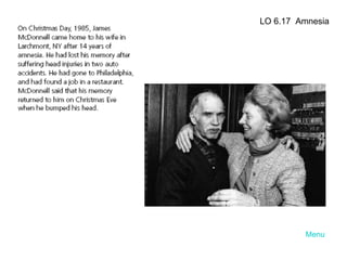 Menu LO 6.17  Amnesia 