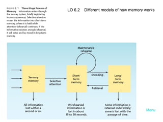 Menu LO 6.2  Different models of how memory works 