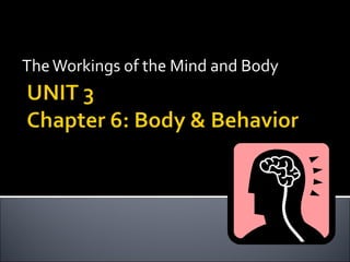 The Workings of the Mind and Body
 