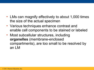 • LMs can magnify effectively to about 1,000 times
       the size of the actual specimen
     • Various techniques enhance contrast and
       enable cell components to be stained or labeled
     • Most subcellular structures, including
       organelles (membrane-enclosed
       compartments), are too small to be resolved by
       an LM




© 2011 Pearson Education, Inc.
 