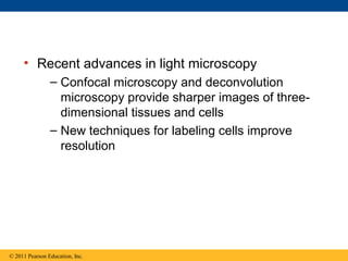 • Recent advances in light microscopy
                – Confocal microscopy and deconvolution
                  microscopy provide sharper images of three-
                  dimensional tissues and cells
                – New techniques for labeling cells improve
                  resolution




© 2011 Pearson Education, Inc.
 