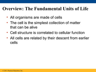 Overview: The Fundamental Units of Life
     • All organisms are made of cells
     • The cell is the simplest collection of matter
       that can be alive
     • Cell structure is correlated to cellular function
     • All cells are related by their descent from earlier
       cells




© 2011 Pearson Education, Inc.
 