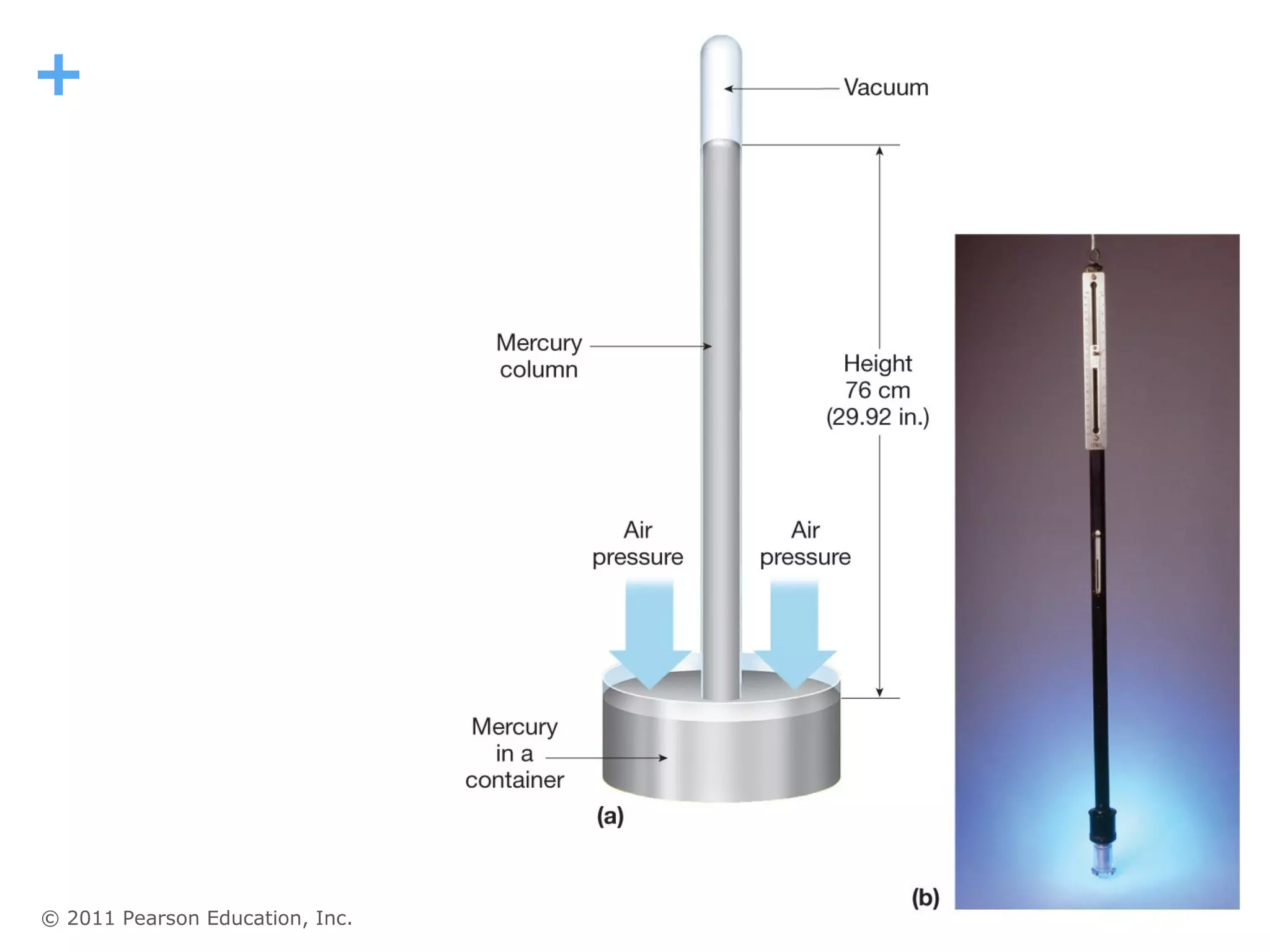 +




© 2011 Pearson Education, Inc.
 