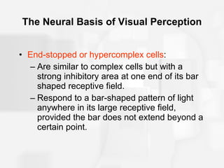 Hypercomplex Cell Chapter6 Power Point Lecture | PPT