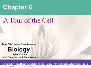 Chapter 6

 A Tour of the Cell


PowerPoint® Lecture Presentations for

        Biology
       Eighth Edition
Neil Campbell and Jane Reece

Lectures by Chris Romero, updated by Erin Barley with contributions from Joan Sharp
Copyright © 2008 Pearson Education, Inc., publishing as Pearson Benjamin Cummings
 