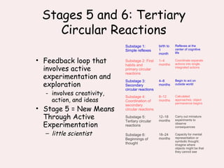 piaget tertiary circular reactions