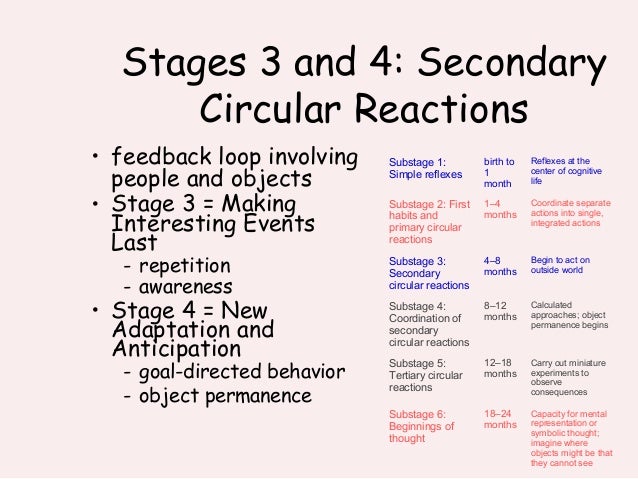 tertiary circular reactions