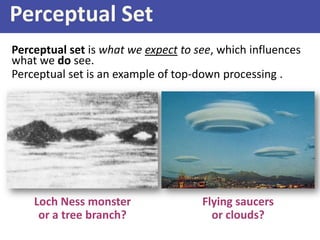Perceptual Set
Perceptual set is what we expect to see, which influences
what we do see.
Perceptual set is an example of top-down processing .
Loch Ness monster
or a tree branch?
Flying saucers
or clouds?
 