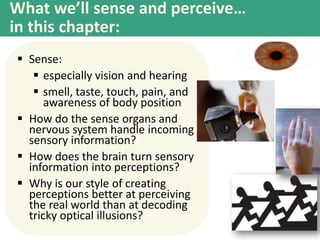 What we’ll sense and perceive…
in this chapter:
 Sense:
 especially vision and hearing
 smell, taste, touch, pain, and
awareness of body position
 How do the sense organs and
nervous system handle incoming
sensory information?
 How does the brain turn sensory
information into perceptions?
 Why is our style of creating
perceptions better at perceiving
the real world than at decoding
tricky optical illusions?
 