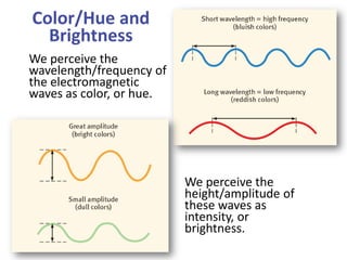 Color/Hue and
Brightness
We perceive the
wavelength/frequency of
the electromagnetic
waves as color, or hue.
We perceive the
height/amplitude of
these waves as
intensity, or
brightness.
 
