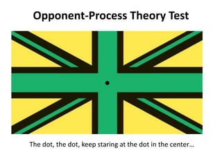Opponent-Process Theory Test
The dot, the dot, keep staring at the dot in the center…
 