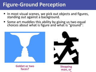 Figure-Ground Perception
 In most visual scenes, we pick out objects and figures,
standing out against a background.
 Some art muddles this ability by giving us two equal
choices about what is figure and what is “ground”:
Stepping
man, or
Goblet or two
faces?
 