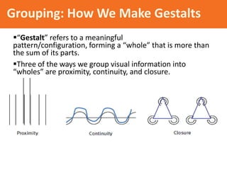 Grouping: How We Make Gestalts
“Gestalt” refers to a meaningful
pattern/configuration, forming a “whole” that is more than
the sum of its parts.
Three of the ways we group visual information into
“wholes” are proximity, continuity, and closure.
 
