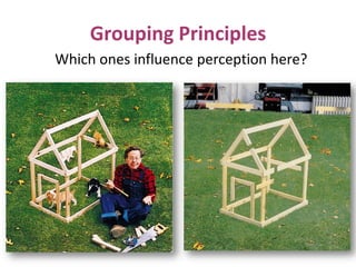 Grouping Principles
Which ones influence perception here?
 