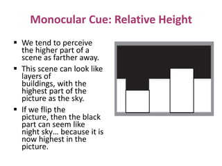 Monocular Cue: Relative Height
 We tend to perceive
the higher part of a
scene as farther away.
 This scene can look like
layers of
buildings, with the
highest part of the
picture as the sky.
 If we flip the
picture, then the black
part can seem like
night sky… because it is
now highest in the
picture.
 