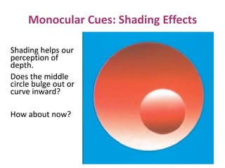 Monocular Cues: Shading Effects
Shading helps our
perception of
depth.
Does the middle
circle bulge out or
curve inward?
How about now?
 